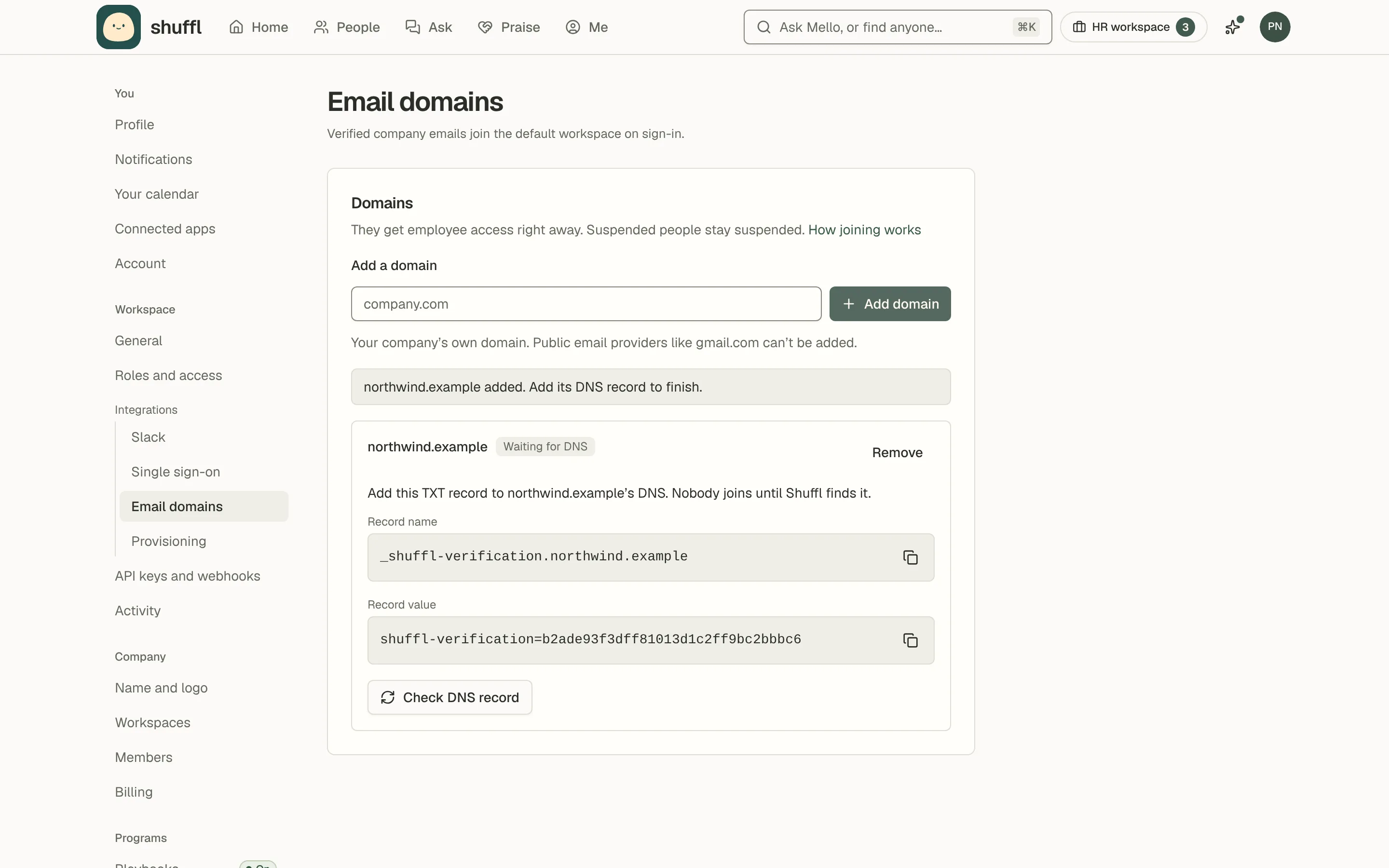 The Email domains settings page: an Add a domain field with an Add domain button, and one domain waiting for DNS with its TXT record name, record value and a Check DNS record button.